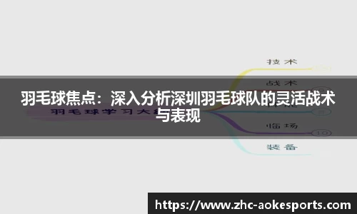 羽毛球焦点:深入分析深圳羽毛球队的灵活战术与表现